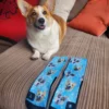 Pet Lover's Bundle - Image 4