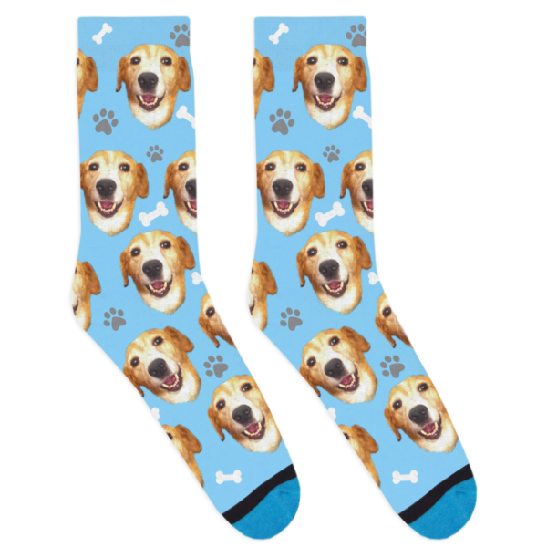 Pet Lover's Bundle - Image 6